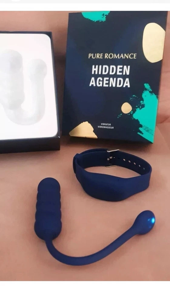 隐藏议程 PureRomance — 第 4/4 张图片