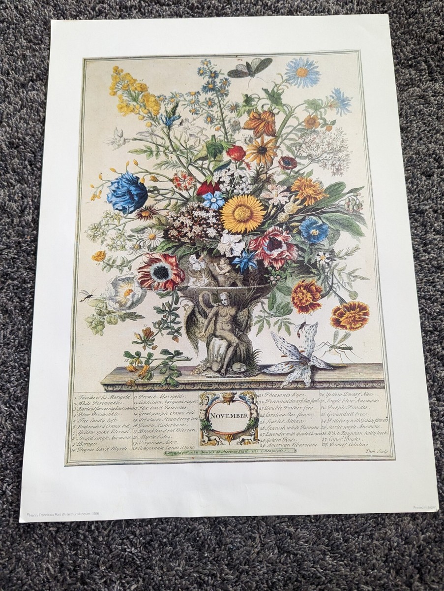 Vintage 12 Months of Flowers Winterthur Museum November Print 14
