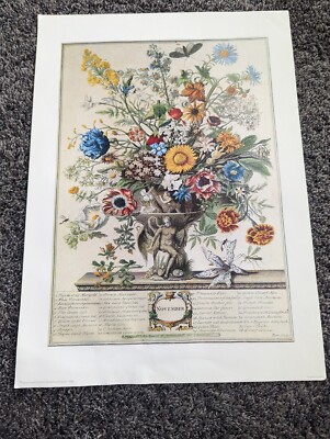Vintage 12 Months of Flowers Winterthur Museum November Print 14