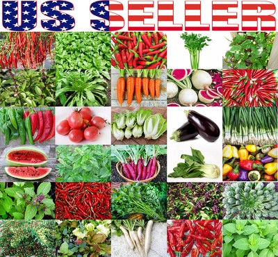 Non-Gmo Seed FREE Shipping Siam Queen Heirloom Thai Basil Microgreen 1 oz