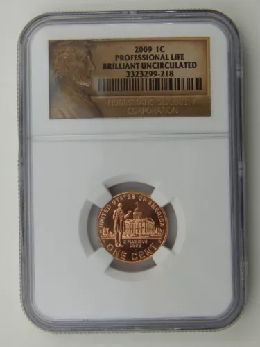 2009 Lincoln Professional Life Cent NGC Brilliant Uncirculated (187)