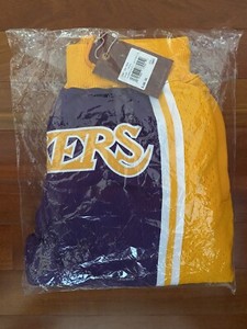 mitchell and ness lakers shorts lebron