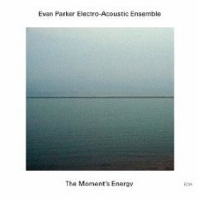 E. PARKER ELECTRO-ACOUSTIC ENSEMBLE ''THE MOMENTS...'' CD