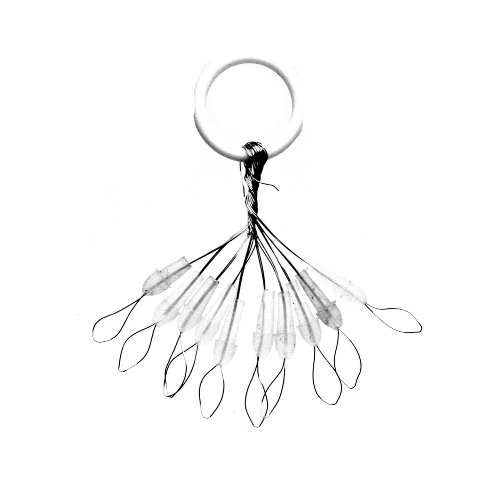 Predax Smart Pegs klar 10 Stopper für Bullet Weights, Schnurstopper für Dropshot