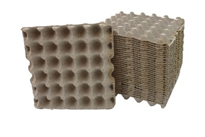 Egg Crates Feeders Reptile Snake Bearded Dragon Ball Python Crested Gecko Lizard