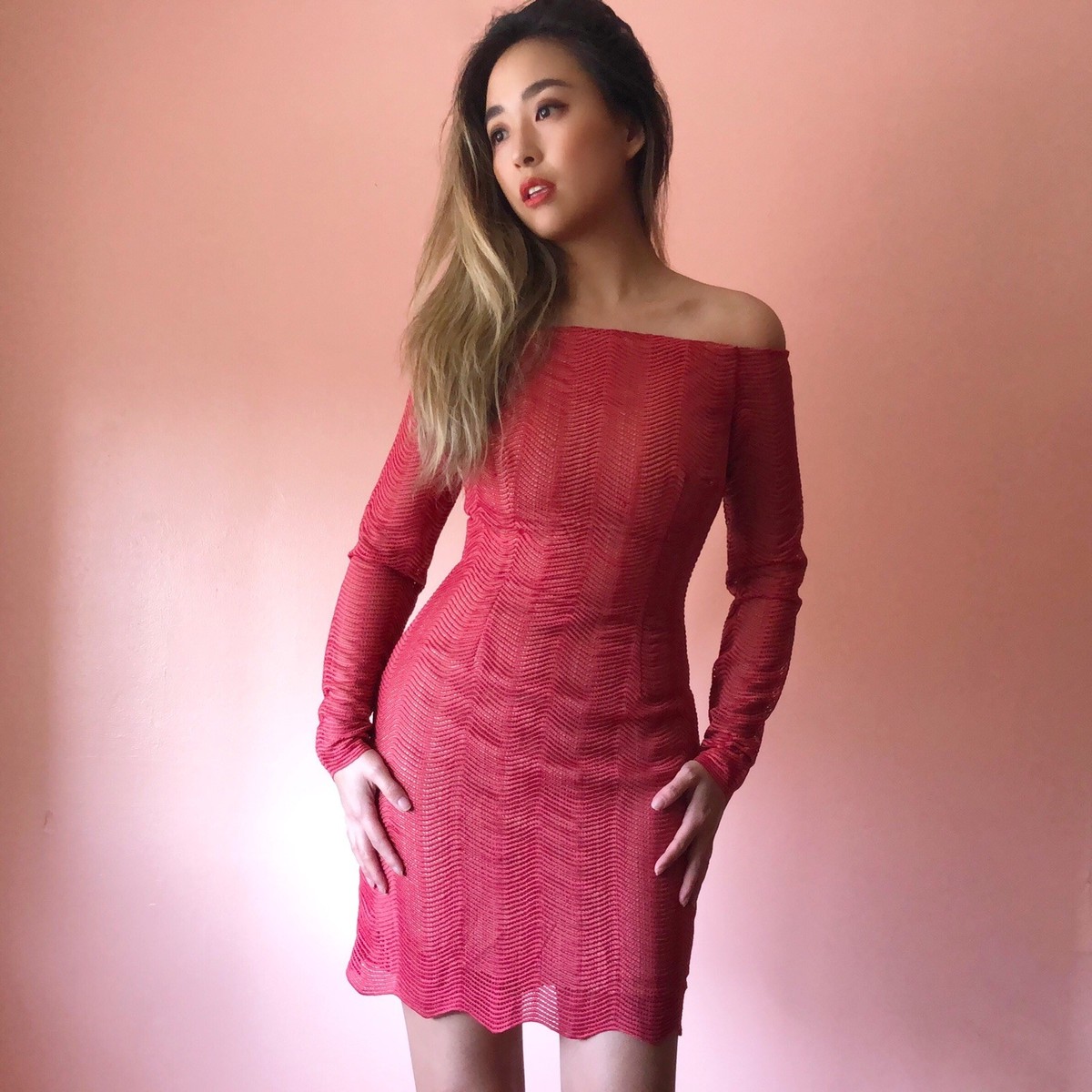 red lace fitted dress Fitted Red lace mini dress XXS / 0 / Red