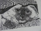Picture 2 of 9