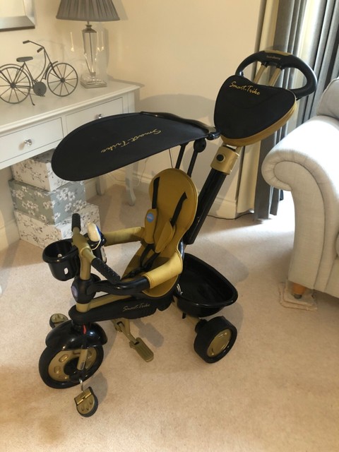 smart trike gold