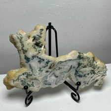 164gAquatics Moss Agate slice Quartz Crystal Mineral Specimen decor pg4