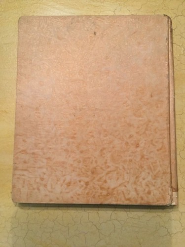 RARE The Peek-A-Boos Among the Bunnies, 1929, McLoughlin, VG Easter! - Picture 2 of 11