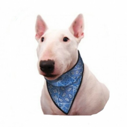 aqua coolkeepers pet dog cool mats cooling mats dogs heat - Picture 11 of 11