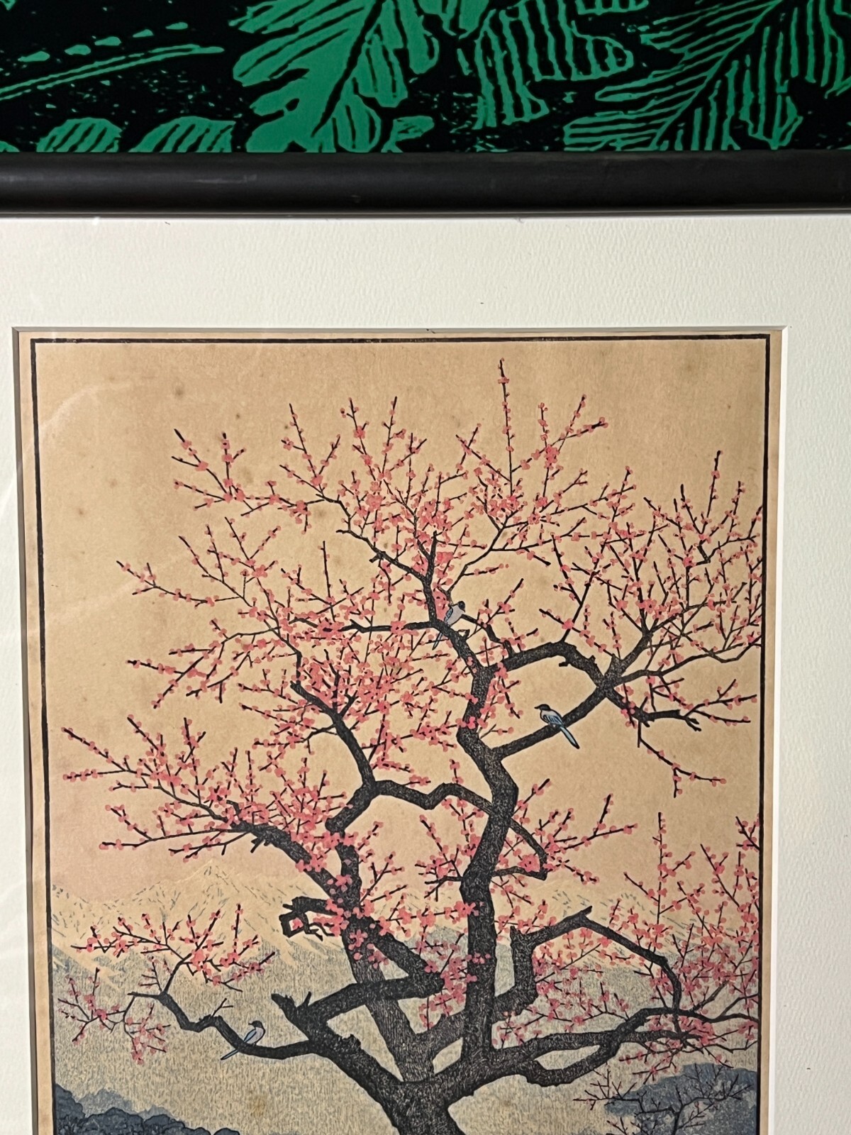 Picture 9 of 19