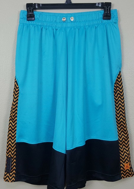jordan gamma blue shorts