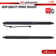 Pair Rear Tailgate Power Hatch Lift Support Strut Shock For Chevy Equinox