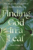 Finding God In A Leaf | The Mysticism Of Laudato Si' | Brian Grogan | Englisch