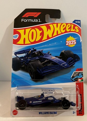 Hot Wheels Pista Assi Williams Racing