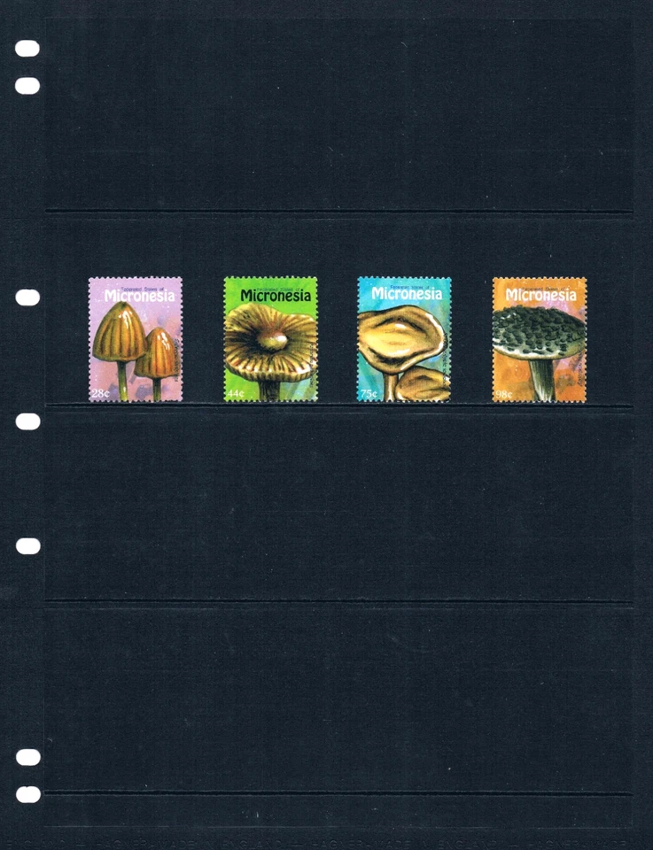 Valor Scott de $5,00 - MICRONESIA 2010 Champiñones Pacífico Sur CV MNH NH UMM Foto 2 de 4