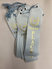 Lot of 20 Award Ribbons TENTH PLACE Light Blue New With Card 2" x 8"