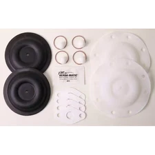 Versa-Matic E5 Tf Kit Elastomer Kit, Ptfe, For 20Lr18