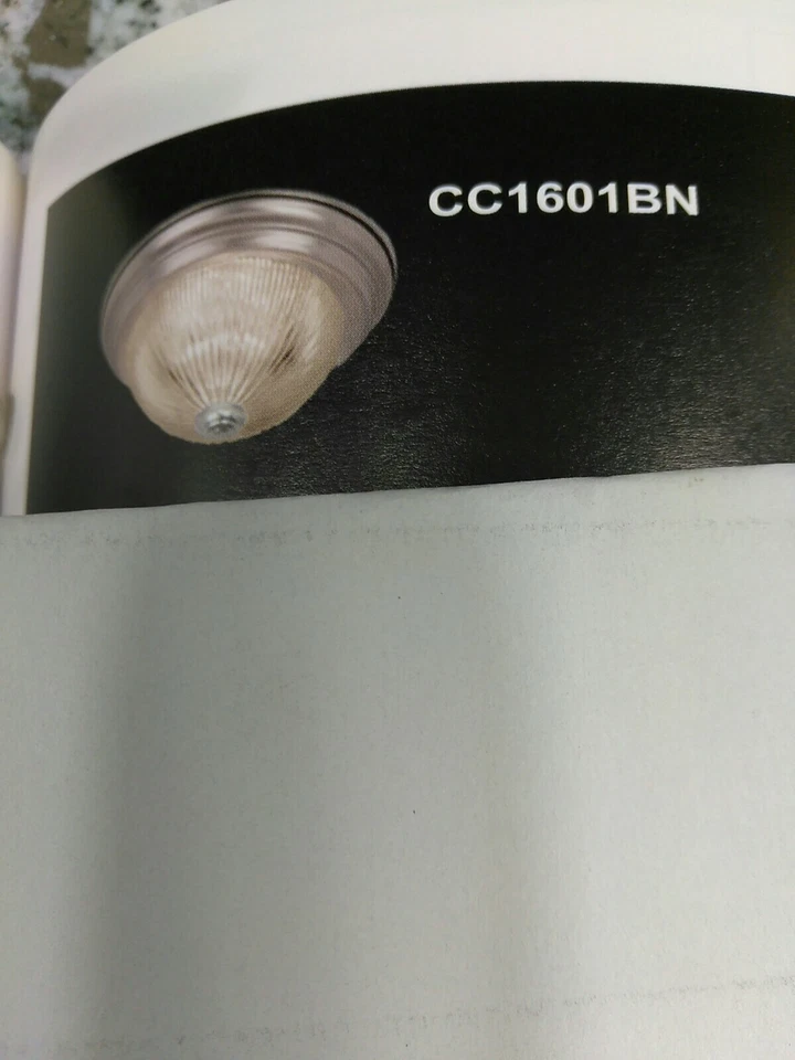 VAXCEL LIGHTING CC1601 BN ACCESORIO DE TECHO 2 luces montaje al ras - níquel (#31C Foto 4 de 4