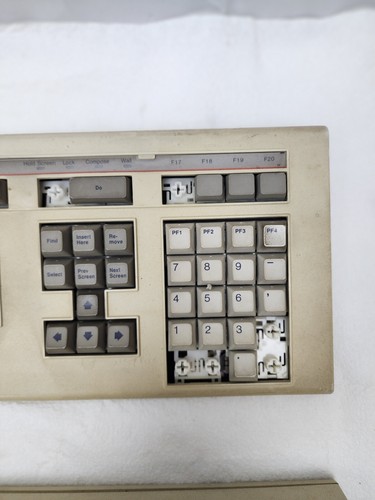 (x2) Digital DEC LK201, 70-23983-AA Vintage Wired Terminal Computer Keyboard - Picture 3 of 13