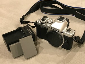 Olympus Om D E M10 Mark Ii Mft Micro 4 3 M43 Camera Silver Omd Em10 With Extras Ebay