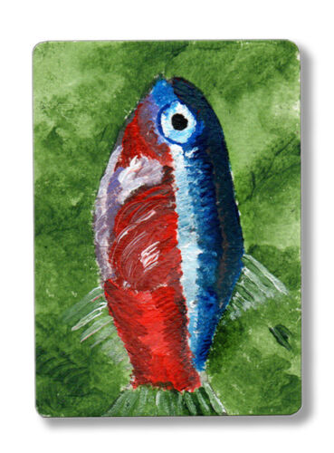 Collectable ACEO original acrylic fish red neon tetra blue green Darlene Howell - Picture 1 of 2