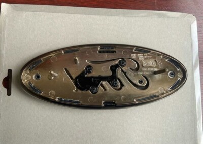 Genuine Ford Front Grille Black Badge Ranger-Everest 2022