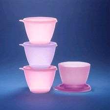 Tupperware Kühlschrank Behälter Set (4) 380ml Buntes Quartett rosa lila NEU OVP 