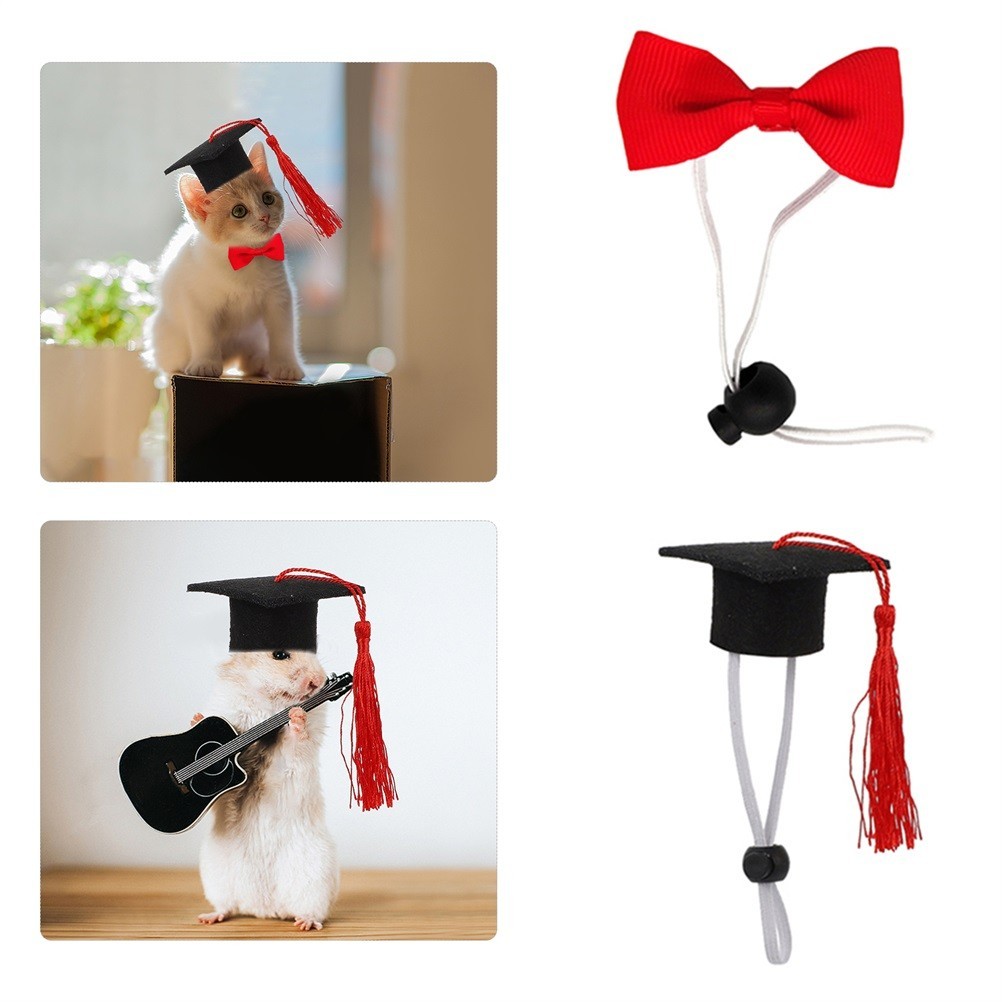 Cappelli per Cani - Set da 2 Pezzi foto 4