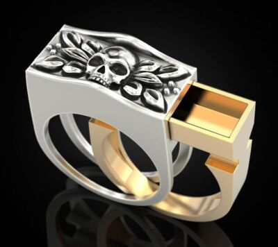 Compartment Coffin Viking Rings - Punk Style Skull Men's Ring Neutral Jewelry