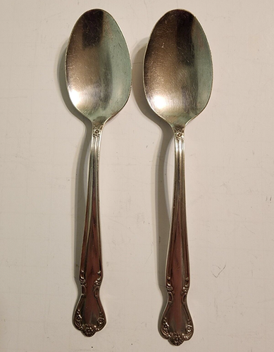 Piattole eleganti da donna ROGERS & BRO Daybreak anni '50 set 17 pz: vedi descrizione - Foto 5 di 5