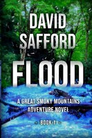 David Safford | Flood | Taschenbuch | Englisch (2022) | Kartoniert / Broschiert