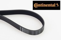 Continental Ctam 7PK1165 Keilrippenriemen Keilriemen FüR Nissan