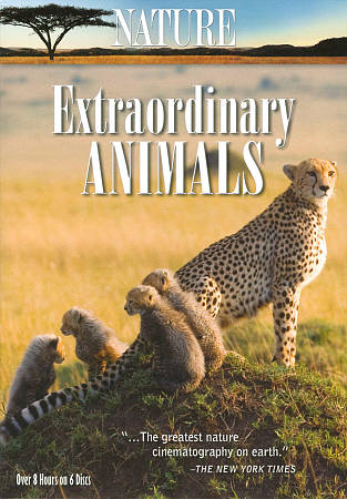 その他 Nature: Extraordinary Animals [DVD] Amazon.com: Nature: Extraordinary Animals : Movies & TV