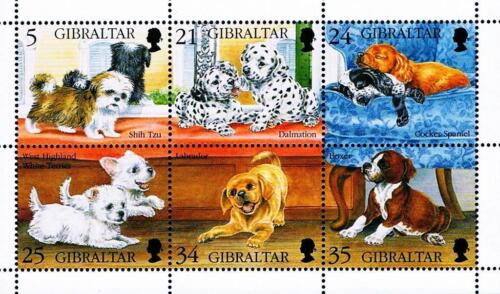 Gibraltar 1996 Chiens S/S MNH Shih Tzu, Labrador Boxer Épagneul ( ͡❛ ͜ʖ - Photo 1/1