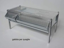 Gabbia per quaglie da ingrasso per 40-50 capi - IN ITALIA