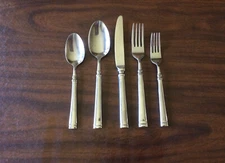 Cambridge MERIDIAN Stainless Glossy ONE - 5 PIECE PLACE SETTING 18/0,Flat Tip,