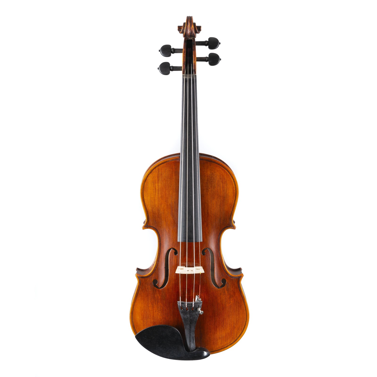 Stentor 44 Violine Elysia - Violine 128090₽