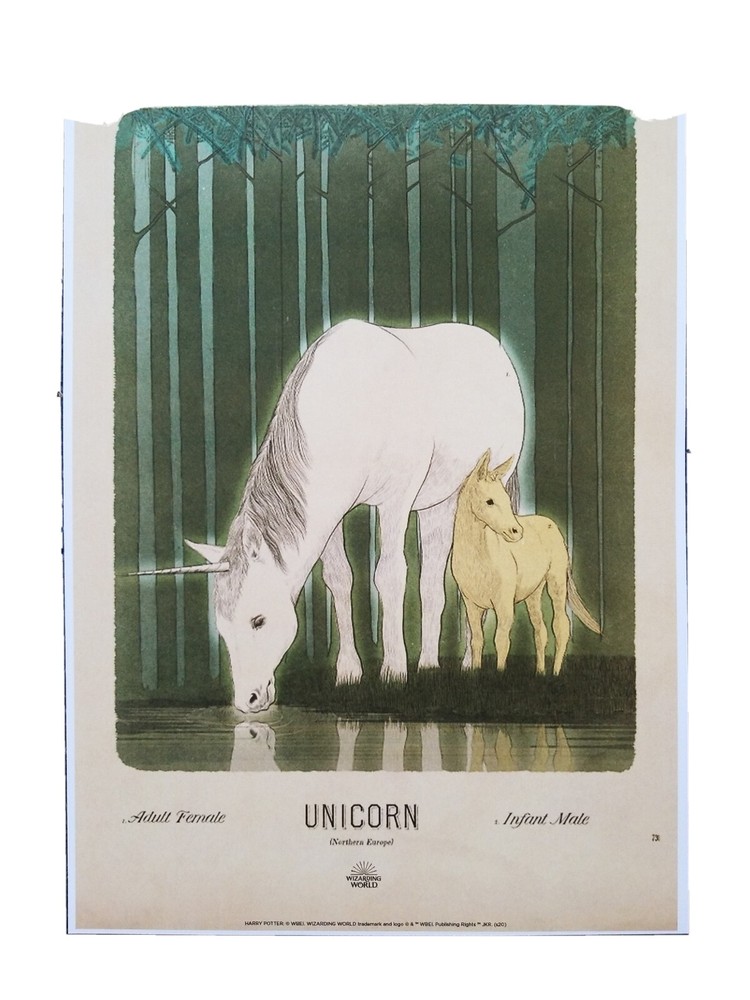 Harry Potter Wizarding World Art Unicorn Poster Print 13x19 MATTE 13x19