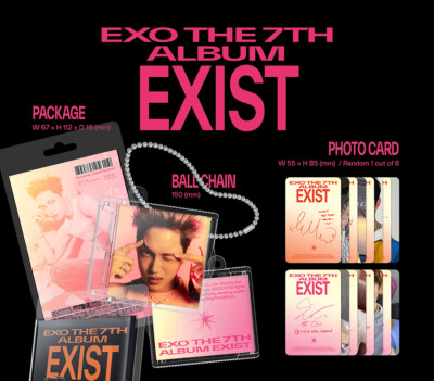 EXO EXIST ベッキョン セット EXO EXIST ベッキョン デジパック SMini