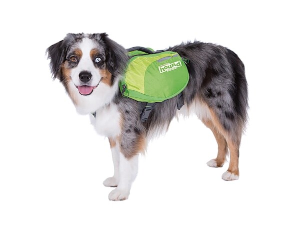 outward hound day pack