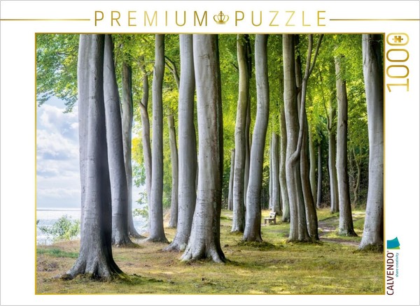 Calvendo Puzzle Wald Von Fanefjord 1000 Teile Puzzle Quer | 1000 Teile Lege-Größ-image