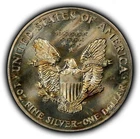 1990 1 oz Silver American Eagle - Rainbow Pattern Toning - BU - SKU-E3757