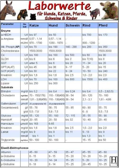 Laborwerte Für Hunde, Katzen, Pferde, Schweine, Rinder | Hawelka