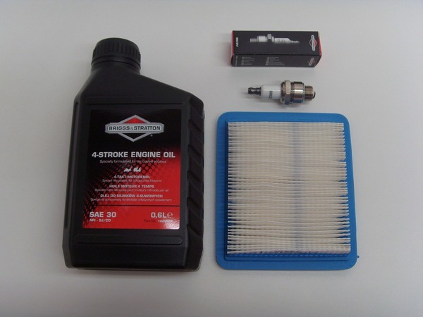 Wartungs-Kit Reparaturanleitung RasenmäHer Motor Briggs & Stratton 5 6 Hp-image