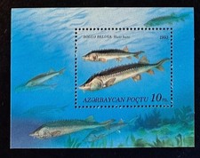 AZERBAIJAN  392  Beautiful    Mint  NEVER  Hinged Souvenir  sheet  FISH