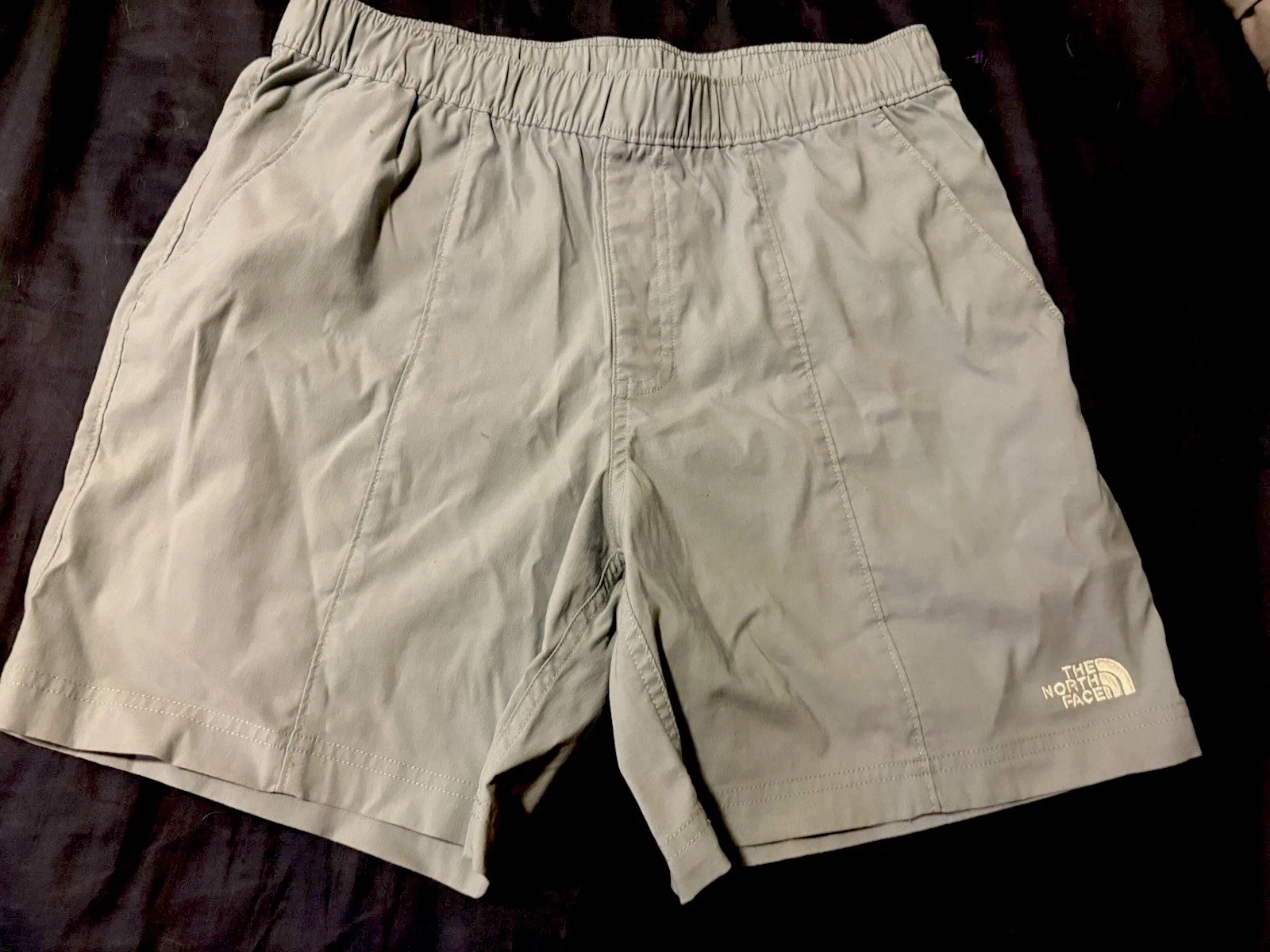 North Face Men’s Shorts