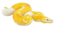 Bullyland 68485 - Spielfigur, Albino KöNigspython, Ca. 9 Cm
