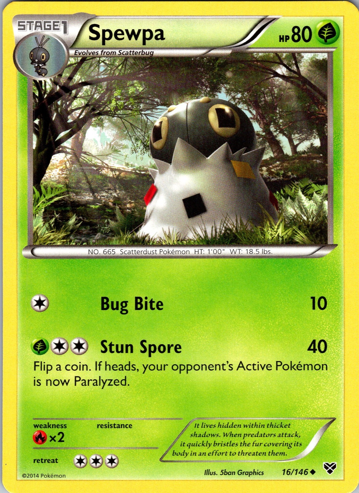 Pokemon TCG Spewpa XY Base Set 16/146 Regular Uncommon Card NM
